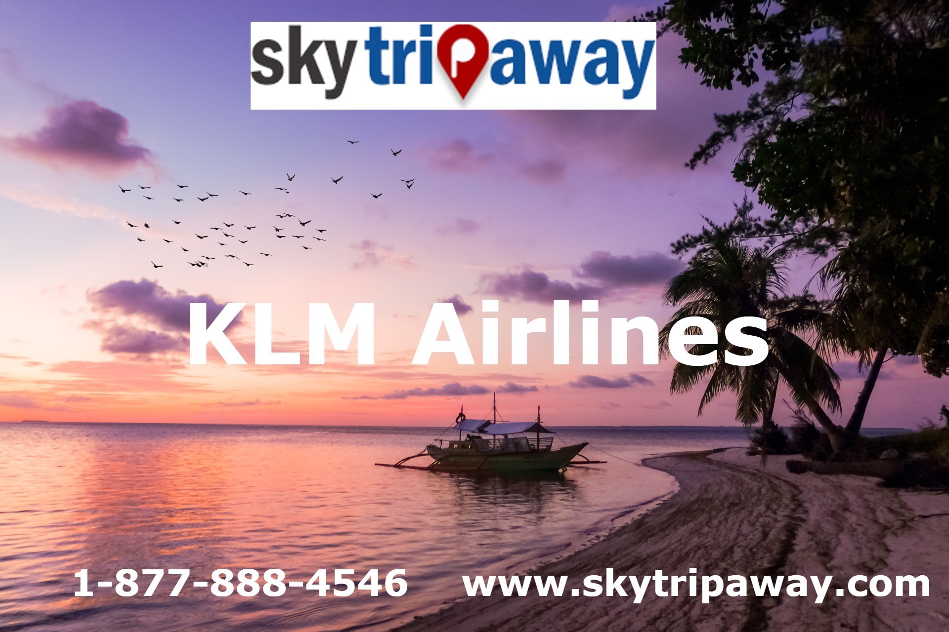 KLM Airlines booking number
